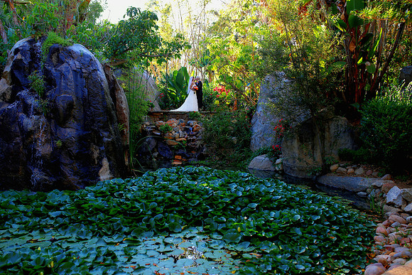 paradise falls
