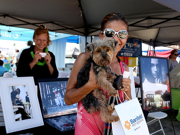 Surf Dog Surf-A-Thon